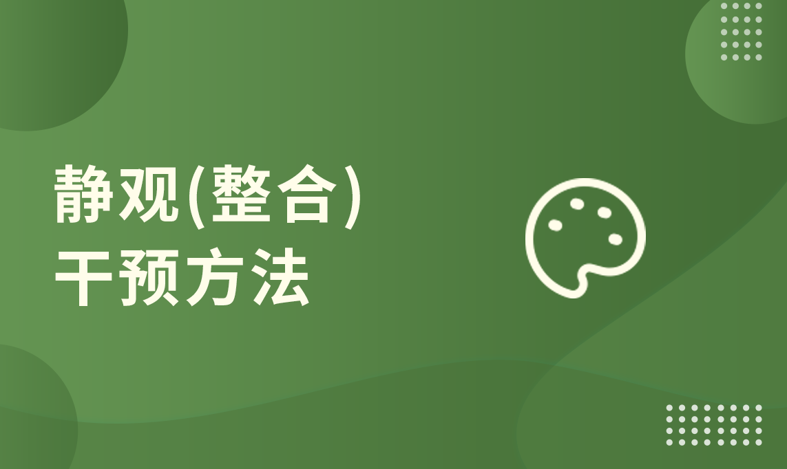 静观(整合)干预方法