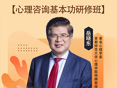 【第五届】【初级班】岳晓东心理咨询基本功研修班